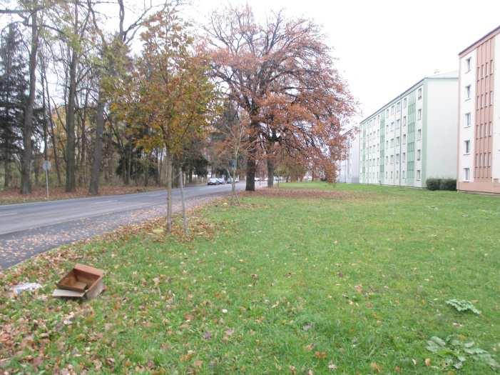 STÁVAJÍCÍ STAV, VÝCHOZÍ PODKLADY Výchozími podklady pro zpracování studie byla - katastrální mapa, geodetické zaměření řešeného území,