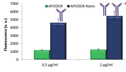 Münzová et al. 53 nictvím došlo k navázání z vnější na antigen. Tento experiment byl zaměřen na sledování množství navázaného nanotransportéru v závislosti na použití IgG protilátky.