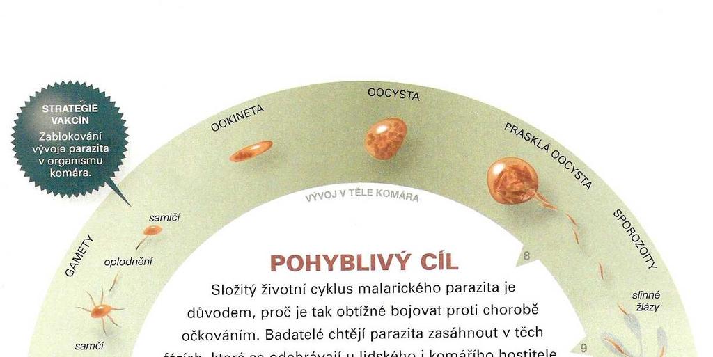 Obr. 26