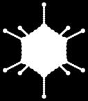 Viry Obrázek 4: Ikozahedrální kapsida adenovirus (zdroj: URL 4) Obrázek 5: Helikální kapsida (zdroj: URL 5, upraveno) 1.2.2.1. Neobalené viry U řady virů reprezentuje nukleokapsida kompletní virion.