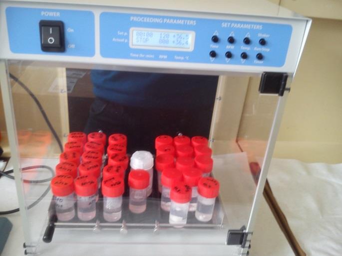 tivního skla. Z toho vyplývá, že povrch vzorku se měl dle předpokladu chovat bioaktivně. Je tedy možné a pravděpodobné, že simulovaná tělní tekutina nebyla správně připravena.