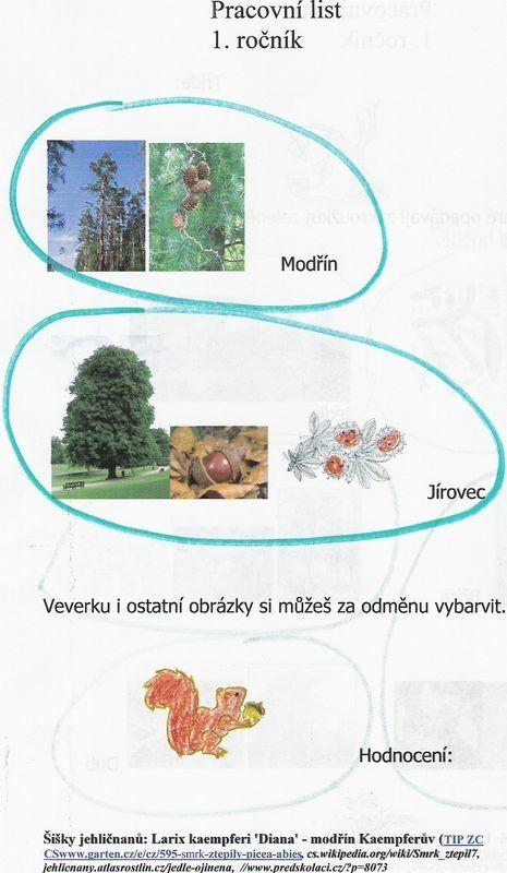 Ptáci a stromy: výukové programy: Příručka pro učitele. Brno, 1996. ISBN 80-902203-0-4. - POTŮČKOVÁ, J.Prvouka pro 1.třídu, 1.