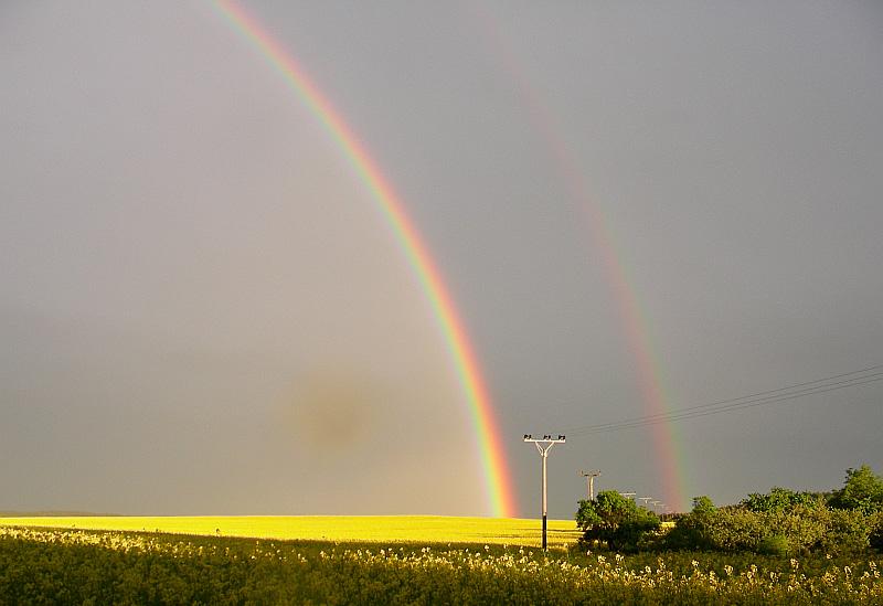 muži ženy