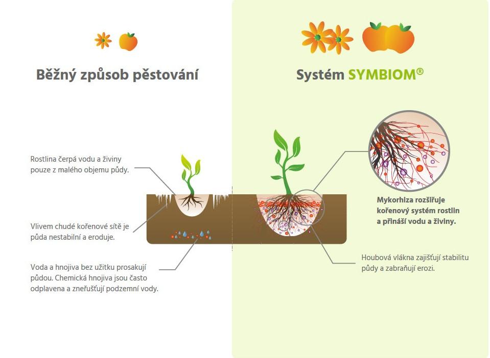 Obrázek 23 - Mykorhiza (https://www.symbiom.cz/cs/m-4-jak-funguje-mykorhiza) 3.2.3 Třetí praktická úloha Fermentace seznamuje žáky s využitím kulturní mykoflóry při výrobě potravin živočišného původu.