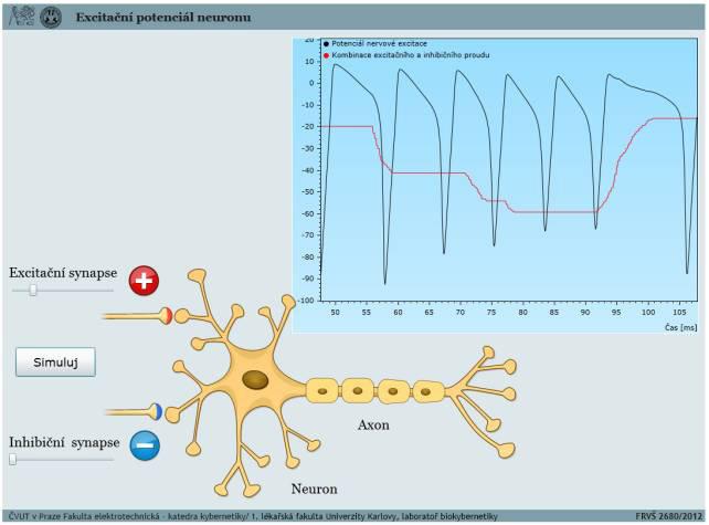 SADA VÝUKOVÝCH SIMULÁTORŮ - VÝSLEDKY VÝVOJE FRAMEWORKU BODYLIGHT Obrázek 2 Excitační potenciál neuronu Jednoduchá cirkulace Cirkulační systém obsahuje relativně složité závislosti mezi tlakem krve v