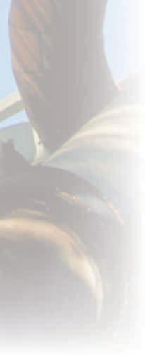 : 597 577 540-1