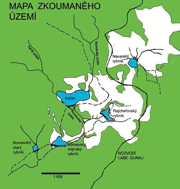 Celkové výsledky jednotlivých průzkumů Botanický průzkum Celkem jsme prozkoumali 5 rybníků (Návarský rybník, Rybník Kačer, Rajchéřovský rybník, Romavský mlýnský rybník a Romavský Starý rybník), v