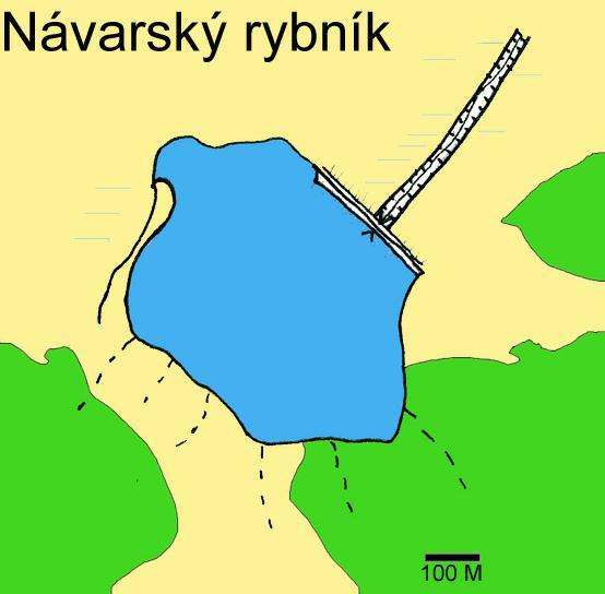 Výsledky průzkumu na jednotlivých rybnících Návarský rybník Botanický průzkum Návarský rybník jsme zkoumali dne 5. 6. 2005.