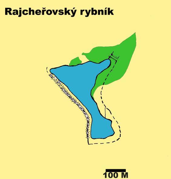 Rajchéřovský rybník Botanický průzkum Rajchéřovský rybník jsou zkoumali dne 13. 6. 2005. Rozloha je cca 9ha, je poměrně hluboký s uměle upravenými okraji.