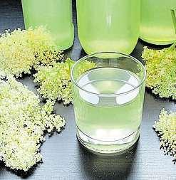 Připravuje se za studena a má osvěžující chuť. Jak na citronový sirup Potřebovat budete 1 kilogram chemicky neošetřených citronů, 3kgcukru a5až 7 gramů kyseliny citronové.