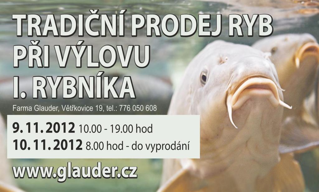 Ceny jsou uvedeny bez DPH. V případě zájmu kontaktujte: p.