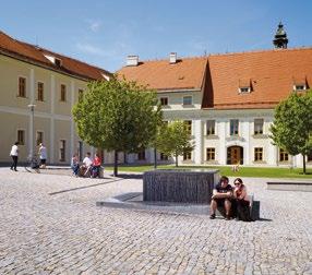 V souvislosti s požadavky zaměstnavatelů a s podporou Jihomoravského kraje a města Brna i s využitím výzkumné infrastruktury budeme usilovat o navýšení počtu studentů, a budeme se snažit, i s pomocí
