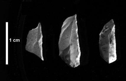 (souřadnice WGS-84, 49 14 0.883 N, 16 45 36.526 E), které doplňují nálezový soubor, který tu byl získán buďto náhodně, nebo cílenou sondáží v minulých letech. Kamenný žlíbek. Mladý paleolit.