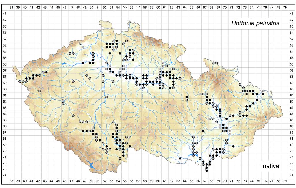 Distribution of Hottonia palustris in the Czech Republic Author of the map: Jan Prančl Map produced on: 11-11-2016 Database records used for producing the distribution map of Hottonia palustris