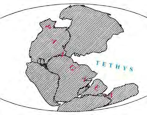 Následující Rodinia vznikla před miliardou let a poslední, a asi nejznámější, Pangea, před 300 miliony let.