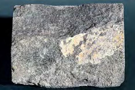 (Abertamy, 2003)