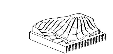 Svahový hřbet Vypuklý tvar na úbočí vyvýšeniny podle tvaru hřbetní plochy: široký,