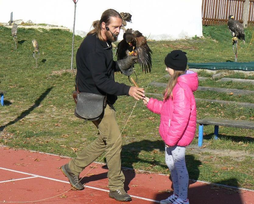 Byly k vidění nejen velcí dravci a sovy, ale také třeba kulíšek