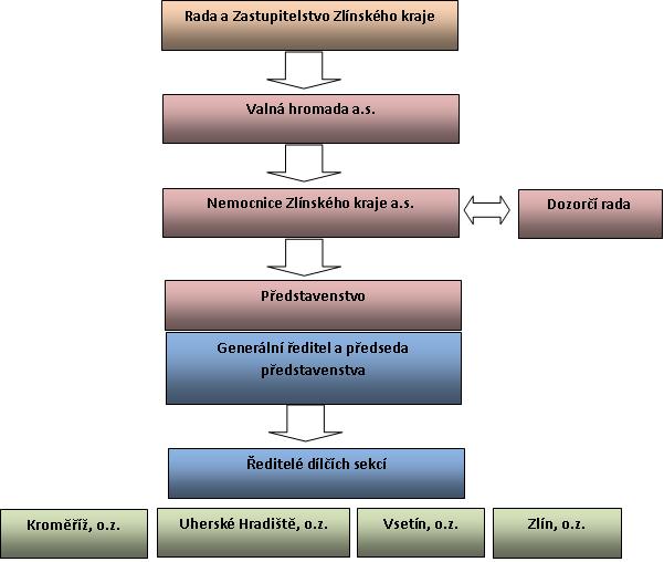 Obr. P2-2: Návrh holdingové organizační