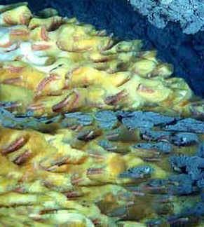 Microbial matts = nárosty Pohyblivé sinice migrují k povrchu a