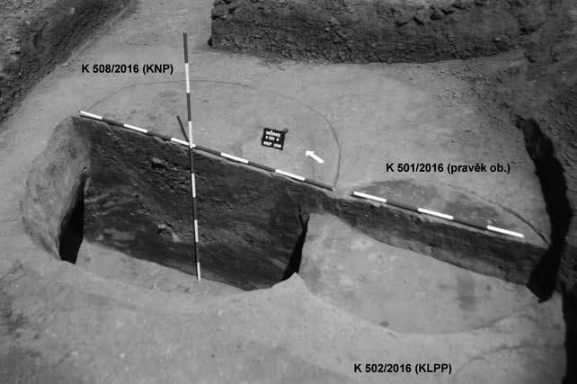 Přehled výzkumů 58-1, Brno 2017 Březová (Březová u Vítkova Cadastre, Opava District), Poruba. Corded Ware culture. Sollitary find battle-axe. Surface survey. Držovice (k. ú. Držovice na Moravě, okr.