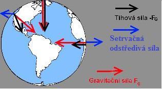 Tíhové pole: Působiště gravitační síly je těžišti tělesa. Protože se Země otáčí okolo své osy, působí na všechna tělesa na Zemi také setrvačná odstředivá síla.