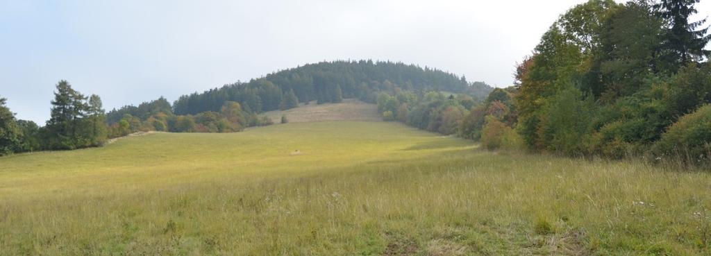 Směrem na západ je několik strmých stěn narezlé barvy (obr. 40), kde se dříve těžily tufy a tufity používané ke stavebním účelům.