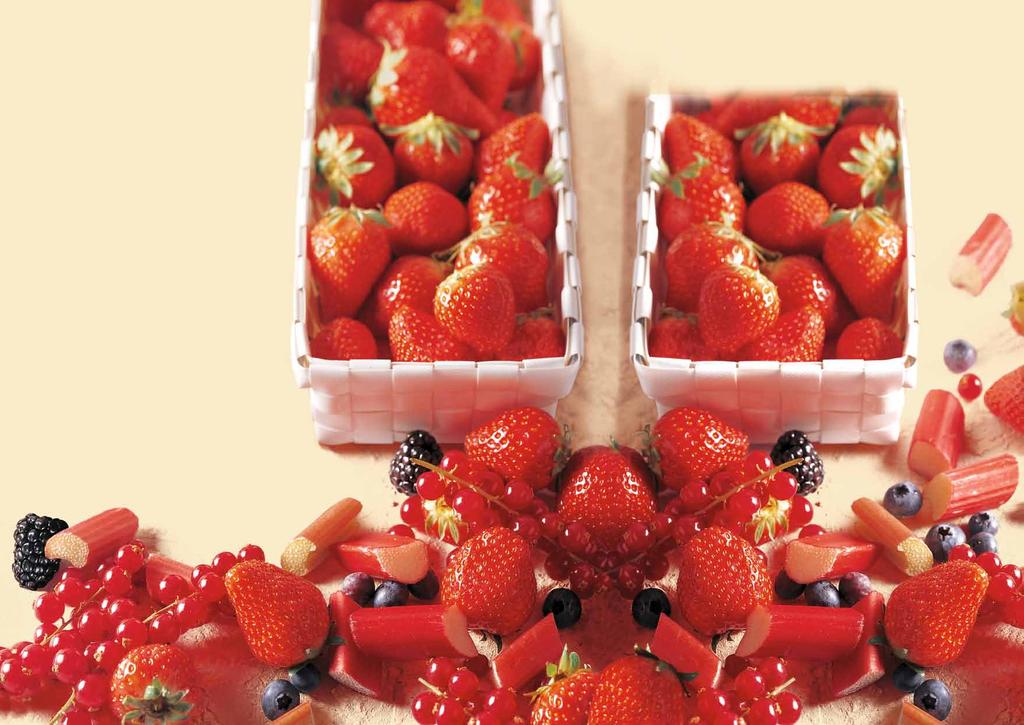 Milí přátelé, v letošním zavařovacím receptáři Dr.Oetker se přesvědčíme, že příprava džemů a marmelád s želírovacími výrobky Dr.