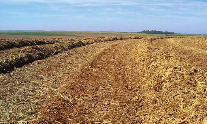 BUDOUCNOST LISOVÁNÍ V blízké budoucnosti nebude úkolem zemědělců lidstvo pouze uživit, ale i se podílet na výrobě energie.