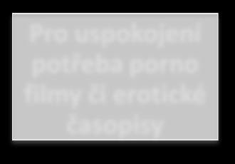 5 vypověděl, ţe:,,největším problémem prostě bylo, když mě při uspokojování viděla nějaká holka mladá, která jako kdyby naschvál byla dcerou manželky spolupracovnice no, takže to se to pak vezlo jo,