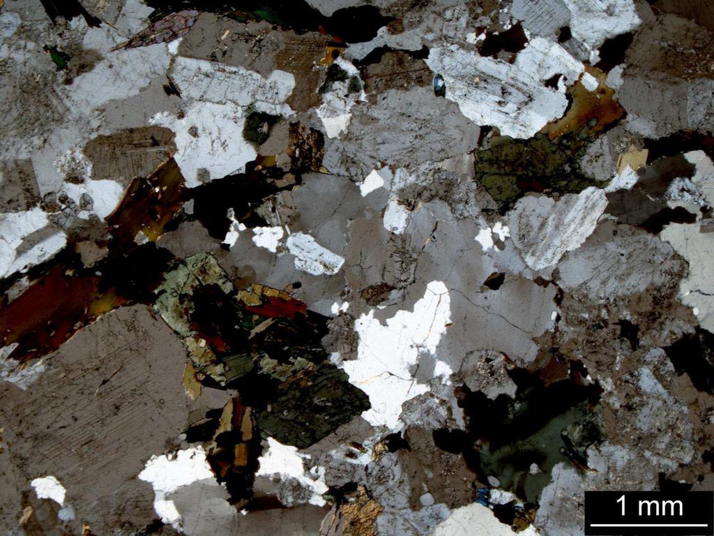 nikolem. Obr. 2 Vzorek č. 14663/85/, granodiorit Prosetín.