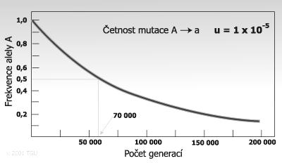 Přehled změn četnosti recesivní alely q za jednu generaci selekce ři různých hodnotách intenzity selekce: Genotyy Alely AA Aa aa A a frekvence,36,48,16,6,4 fitness 1,95,3 rodiče o selekci