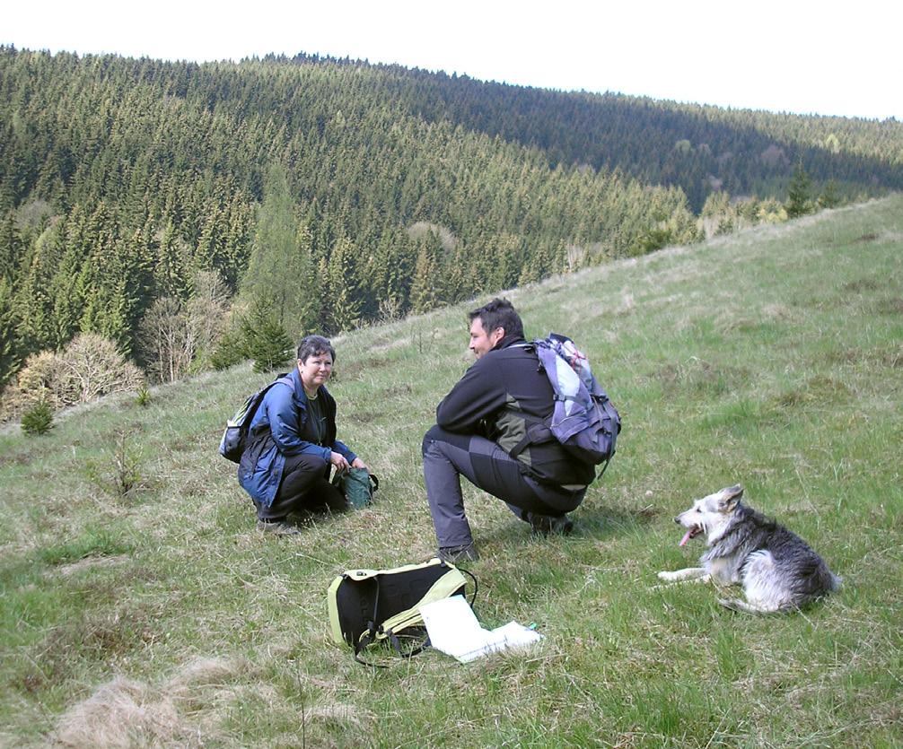 vápencových ostrůvků mezi Horní