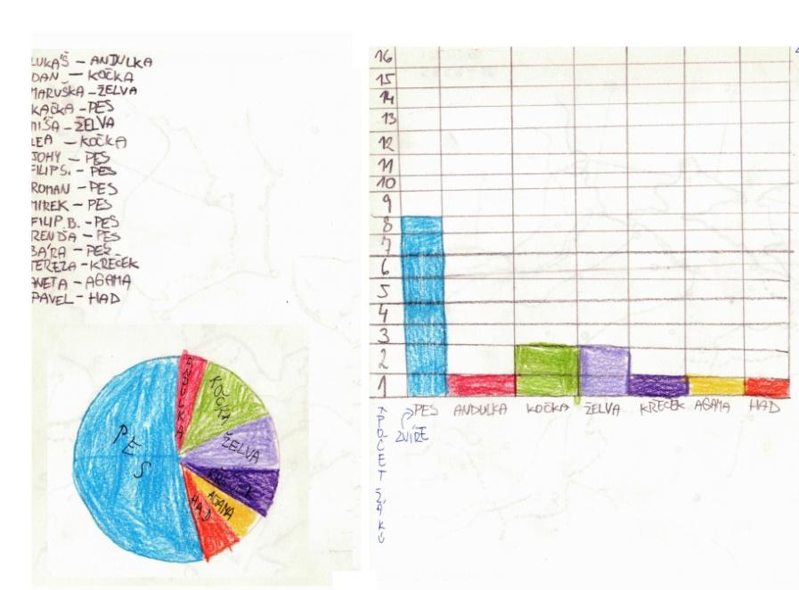 Obrázek 41: Koláčový a sloupcový graf na téma domácí mazlíčci Postup vytváření koláčového grafu ilustruji na popisu rozhovoru a ukázce tvorby dívky, která si vybrala téma místo, kde jednotliví žáci