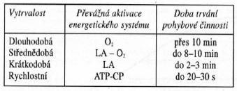 Obrázek 3 Vymezení vytrvalostních schopností (Perič & Dovalil, 2010) Nicméně dle Příbramské (1989) se od sebe jednotlivé druhy vytrvalosti neliší jen dobou svého trvání, ale jsou také