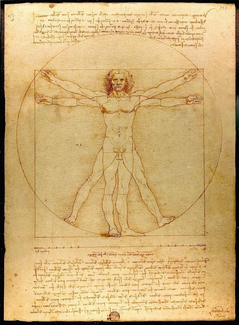 Osnova Vitruvius - proporce lidské postavy 1. Renesance 2. Humanismus 3. Člověk, duše, vzdělání, výchova 4.