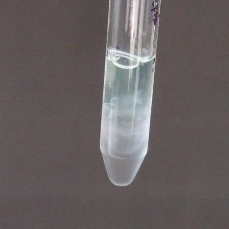 koncentraci 0,15 M Fluorescenční sonda: rhodamin 6G Příloha 2: První fáze