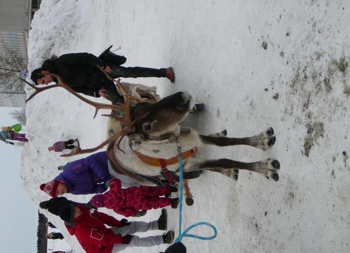 Volný čas v Kemi Kemi je malé město, ale nenudily jsme se tam. Hlavní a nejznámější turistické lákadlo je Snowcastle hrad ze sněhu a ledu.