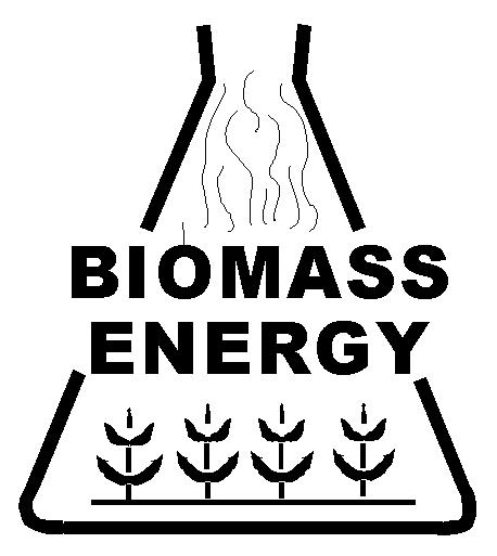 Pro získávání energie se využívá: Biomasa záměrně pěstovaná K tomuto účelu je pěstována cukrová řepa, obilí, brambory, cukrová třtina aj.