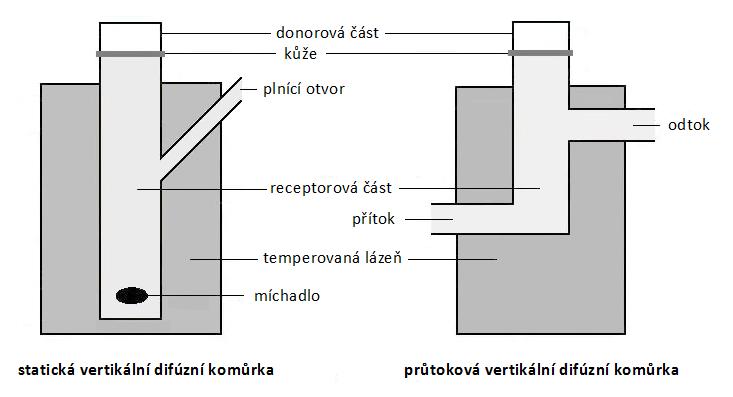 je důleţitý z důvodu zachování sink conditions pro správnou absorpci látky je třeba zajistit, aby průnik látky skrz membránu nebyl ovlivněn parametry solubility.