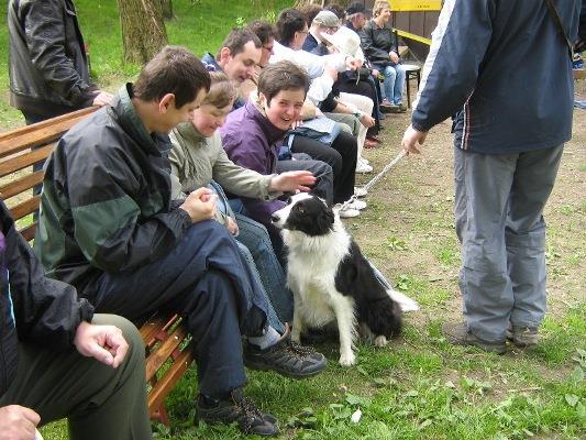 Jana Rybičky Křehkost kovu v Galerii