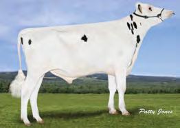 8% 1 942 3.6% 1 432 kg VA-EARLY-DAWN SUDAN CRI VIEUXSAULE BOLTON HALIA 01-11 305 11 912 4.7% 563 3.5% 421 kg Celoživotně: 17 612 4.6% 804 3.6% 630 kg Exteriér Stád: 38 Dcer: 83 R %: 91 1.