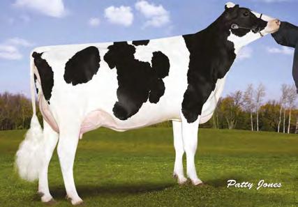 50 CM$ 638 Brigeen Nominee Gina AMIGHETTI NUMERO UNO NEO-239 MAN-O-MAN x SHOTTLE x BOSS IRON LONG-LANGS OMAN OMAN AMIGHETTI SHOTTLE AVE 02-00 305 12 882 4.1% 531 3.