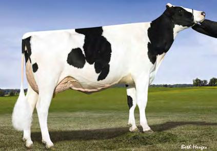 3% 582 kg LADYS-MANOR AUDEN ODA 04-03 305 15 159 4.1% 618 3.2% 490 kg Celoživotně: 53 147 4.2% 2 218 3.3% 1 734 kg OAK x DORCY x AUDEN DN: 01.10.2013 Stád 179 Dcer 666 Mléko +846 2585 Tuk +38 +0.