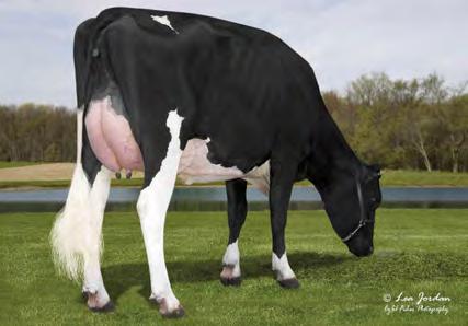 Celoživotně: 27 105 3.3% 883 2.8% 769 kg LA FELCE SERETTA 01-11 305 13 843 3.5% 484 3.4% 464 kg Celoživotně: 32 133 3.6% 1 172 3.