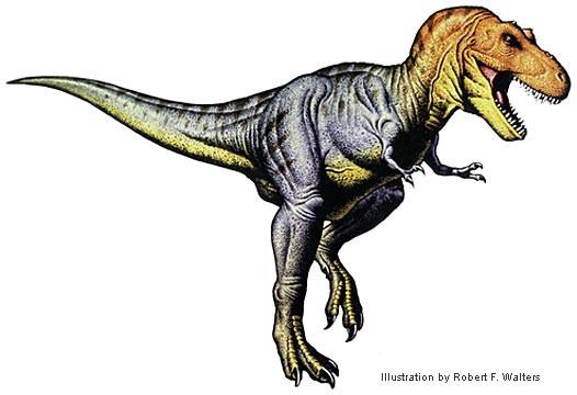 Tyrannosaurus vs. Manospondylus V roce 1905 byl popsán rod Tyrannosaurus (na základě druhu Tyrannosaurus rex).