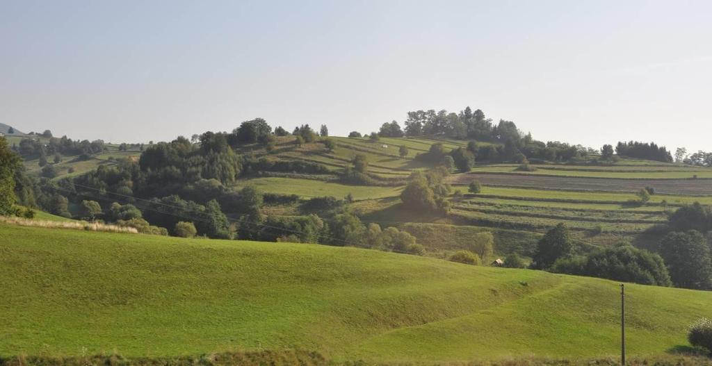 u řeky). Respektování přírodních daností je spjato s trvale udržitelným stavem a vývojem dané krajiny (Culek, 200).