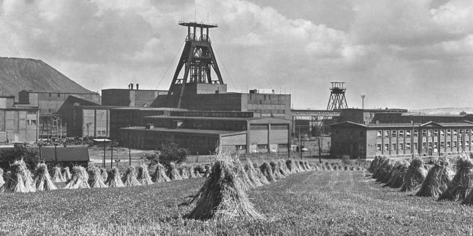 ostravsko-karvinském revíru. Na odvaly se přivážela hlušina jak z dolu Heřmanice, tak z koksoven Vítězný únor a Karolina.