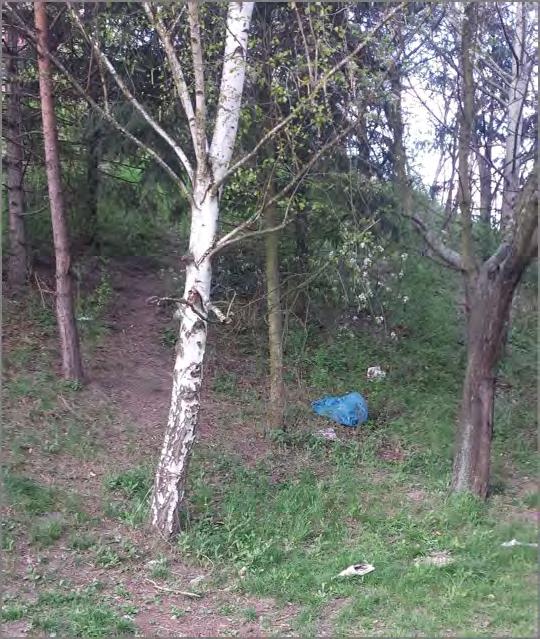 Svah z Okružní na Pražskou by si zasloužil posekat, nehledě na nepořádek a odpadky v dolní části. Můžete ho posekat a uklidit? Mgr.