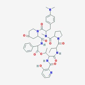 (Hershberger et al., 2004). Obě skupiny antibiotik jsou produkovány současně jednou bakterií rodu Streptomyces (Johnston et al., 2002), v přibliţném poměru 7:3 (Pechere, 1996).